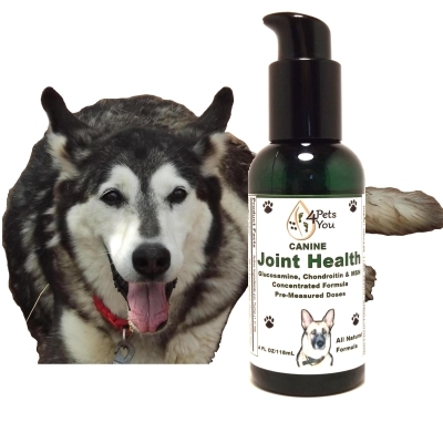 The benefits of Canine Joint Health