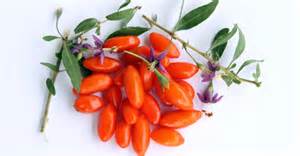 Goji Berry