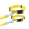 Barking Basics Dog Collar Yellow